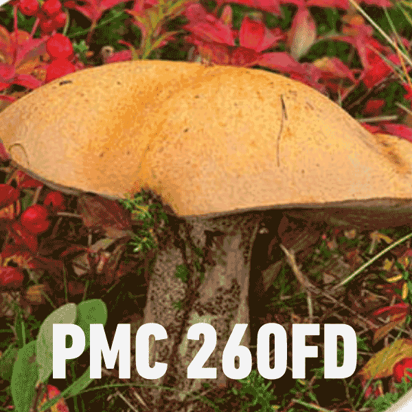 PMC 260FD