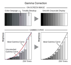 Corrección de gamma