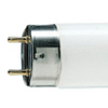 d50
