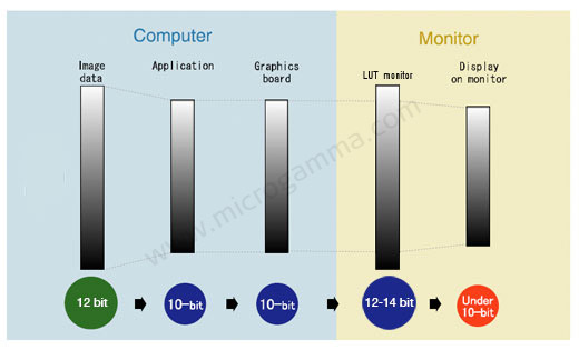 tecnologia 10 bit