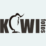 KIWI fotos