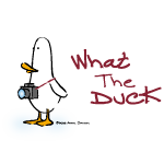 What the duck