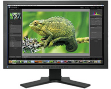 Eizo coloredge