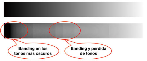 Escogiendo el monitor adecuado para un sistema de gestión de color