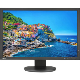 NEC MultiSync PA243W BK
