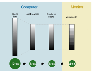 monitor convencional